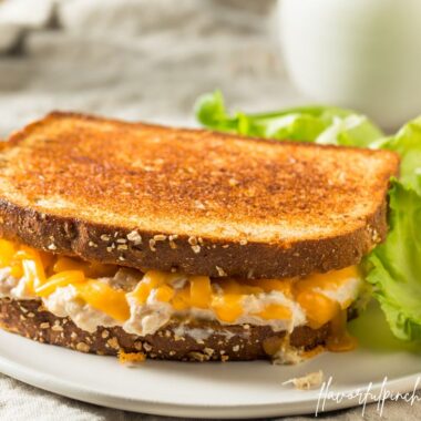 tuna melt sandwich