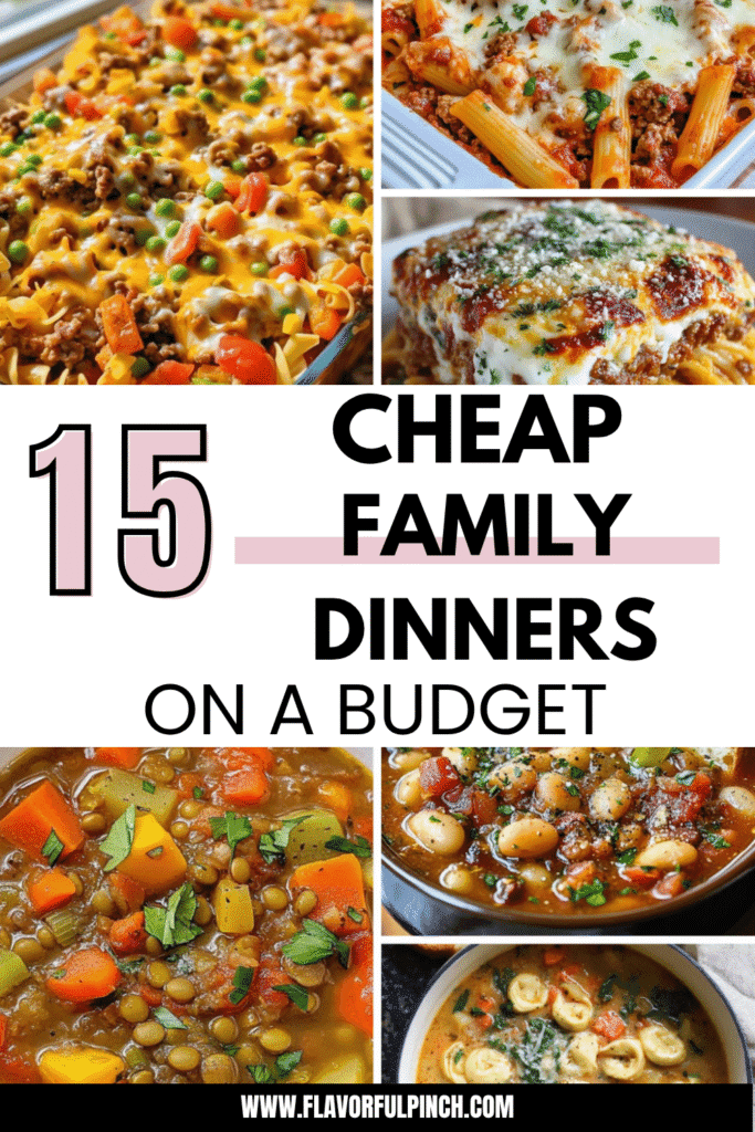 15 Cheap Family Dinners On A Budget