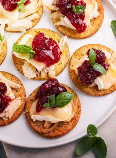 Party Appetizers With Turkey, Brie and Cranberry Sauce
