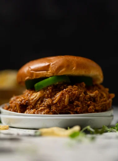 https://flavorfulpinch.com/chicken-sandwich-recipes/