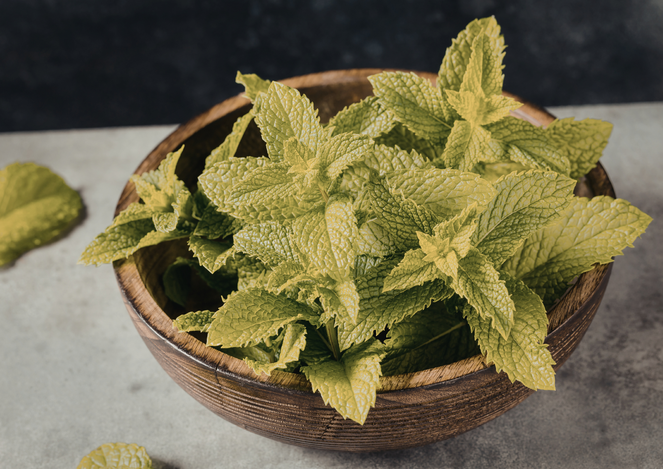 Carausel - 2026-03-25T044642.017