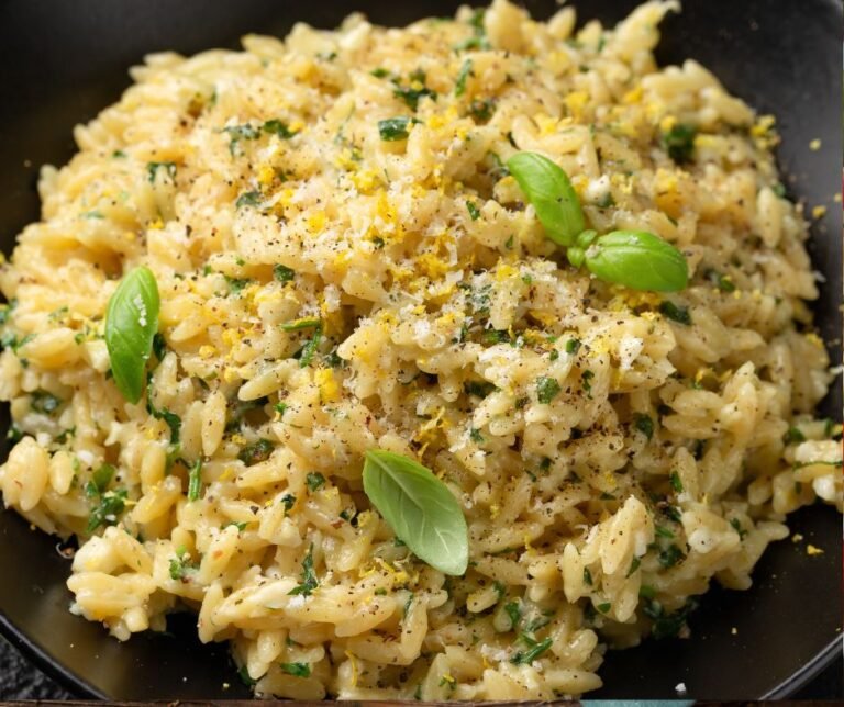 Creamy Garlic and Parmesan Orzo Pasta with Lemon Zest and Parsley