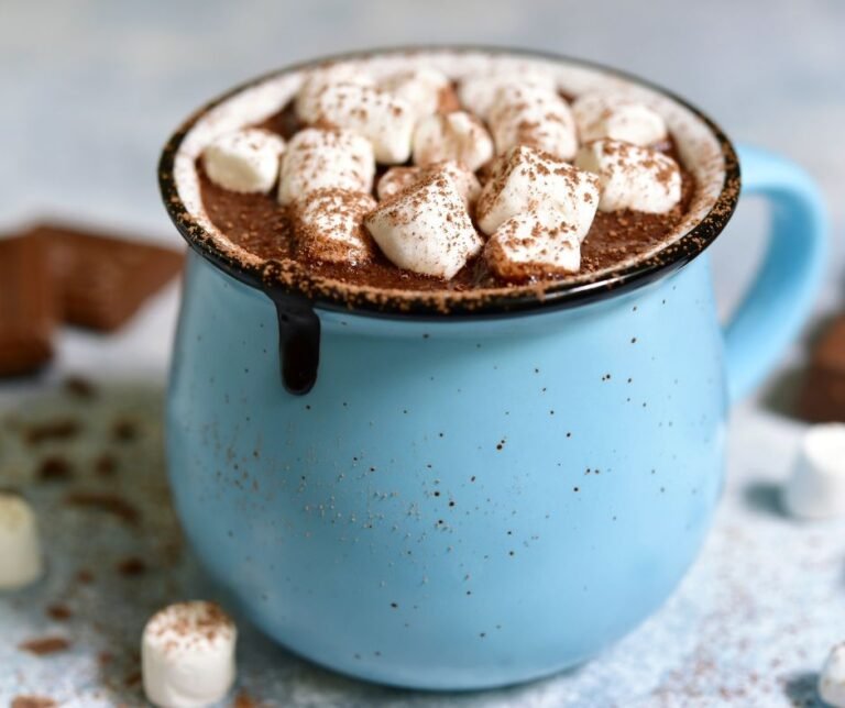 Homemade Hot Chocolate with Mini Marshmallows